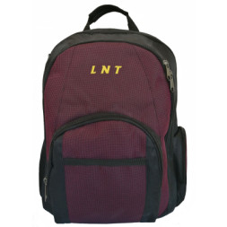 Рюкзак для ноутбука LNT 15.6&quot; BN115 (LNT-BN115G-RD)