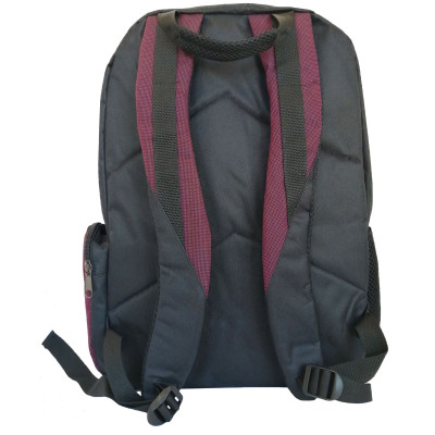 Рюкзак для ноутбука LNT 15.6&quot; BN115 (LNT-BN115G-RD)