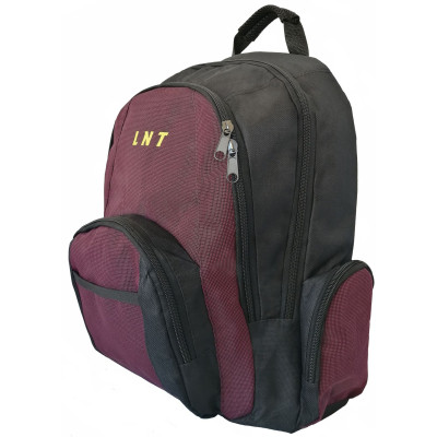 Рюкзак для ноутбука LNT 15.6&quot; BN115 (LNT-BN115G-RD)