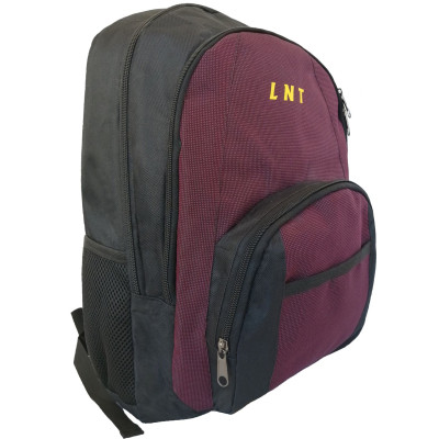 Рюкзак для ноутбука LNT 15.6&quot; BN115 (LNT-BN115G-RD)
