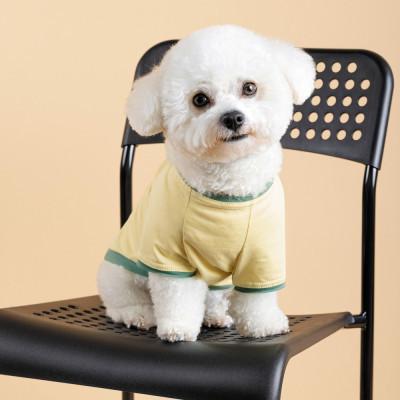 Футболка для тварин Pet Fashion Endy S (4823082434282)