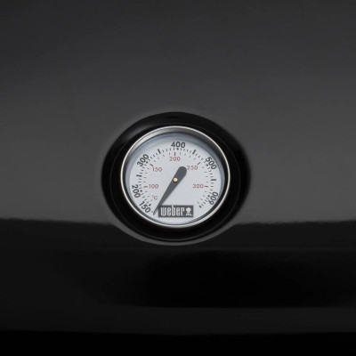 Гриль-барбекю Weber Lumin 2000 з підставкою Black (92010879)