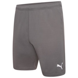 Шорти Puma teamRISE Short 704942-13 сірий L (4063699212068)
