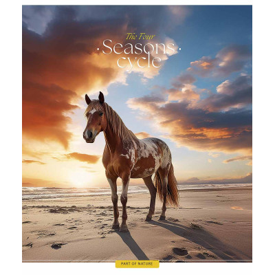 Зошит Школярик Four seasons 60 аркушів лінія (060-3403L)