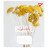 Зошит Yes Believe in yourself 48 аркушів лінія (767123)