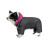 Костюм для тварин Buddy Boo Iden S (4823082432202)