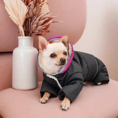 Костюм для тварин Buddy Boo Iden S (4823082432202)