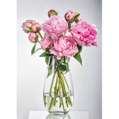 Ваза Bohemia Crystal Margo Plain 30.5 см (B82237-305)