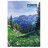 Канцелярська книга Buromax А4, 96 арк., клітинка, тверда ламін.обкл (BM.2430)