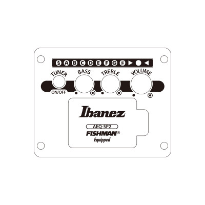 Гітара електроакустична Ibanez AEWC621 BOT (236714)