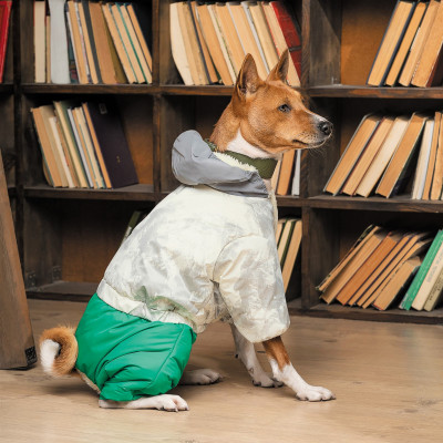 Костюм для тварин Pet Fashion Pf Style M (4823082427949)
