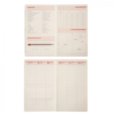 Тижневик Leo planner датований 2026 &quot;Glory&quot;, м‘який, чорний, 352 сторінки (252632)