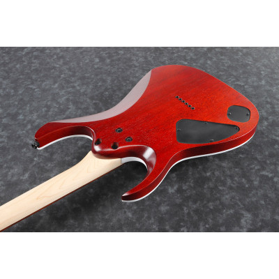 Електрогітара Ibanez RGA42FM TGF (229729)
