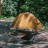 Намет Naturehike одномісний NH22ZP020 коричневий (6927595799000)