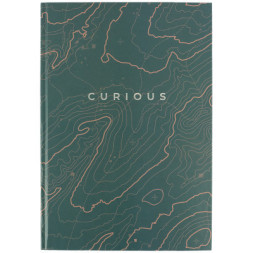 Книга записна Axent Earth colors Curious А4 96 аркушів клітинка (8422-577-A)