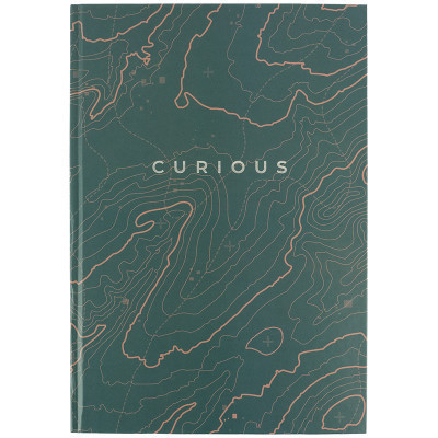 Книга записна Axent Earth colors Curious А4 96 аркушів клітинка (8422-577-A)