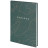 Книга записна Axent Earth colors Curious А4 96 аркушів клітинка (8422-577-A)