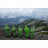 Накидка Turbat Molfar green M/L (012.005.0011)