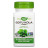 Трави Nature&#039;s Way Готу Кола, 950 мг, Gotu Kola, 100 вегетаріанських капсул (NWY-14000)