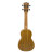 Укулеле Parksons UK21Z + Чохол RB20000