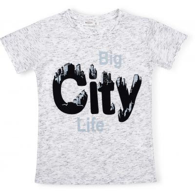 Футболка дитяча Breeze &quot;BIG CITY LIFE&quot; (11129-128B-gray)