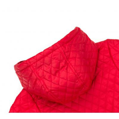 Куртка дитяча Verscon з капюшоном (3439-110B-red)
