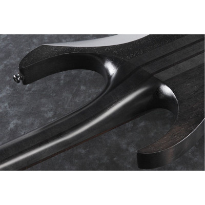 Електрогітара Ibanez RGRT421 WK (226617)