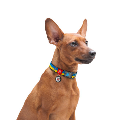 Нашийник для тварин WAUDOG Nylon з QR паспортом &quot;Colors of freedom&quot; пластиковий фастекс XXL (284-4020)