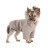 Толстовка для тварин Pet Fashion Flex L (4823082442805)