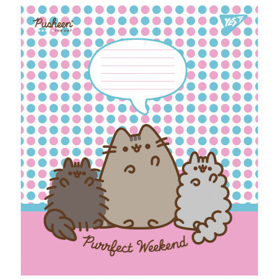 Зошит Yes Pusheen 12 аркушів лінія (766951)