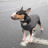 Жилет для тварин Pet Fashion &quot;E.Vest&quot; XS сірий (4823082424351)