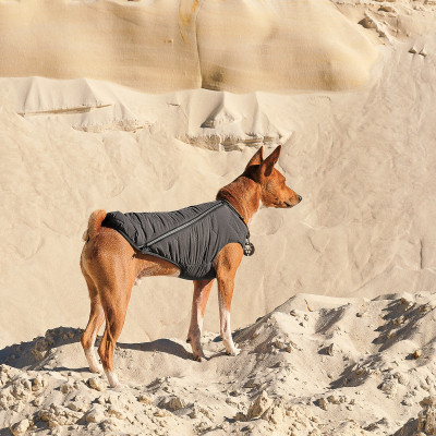 Жилет для тварин Pet Fashion &quot;E.Vest&quot; XS сірий (4823082424351)