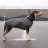 Жилет для тварин Pet Fashion &quot;E.Vest&quot; XS сірий (4823082424351)