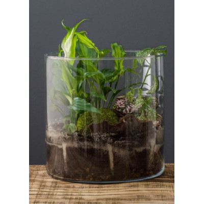 Ваза Ecomo Cylinder 19 x 19 см (35096)