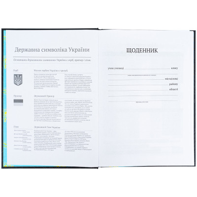Щоденник шкільний Kite Cyber, тверда обкладинка (K25-262-4)