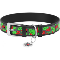 Нашийник для тварин WAUDOG Design з QR паспортом &quot;Калина&quot; L Ш 25 мм Д 38-49 см (чорний) (3605-0228-01)