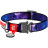 Нашийник для тварин WAUDOG Nylon з QR паспортом &quot;NASA21&quot; металева пряжка-фастекс XS (4505-0148)