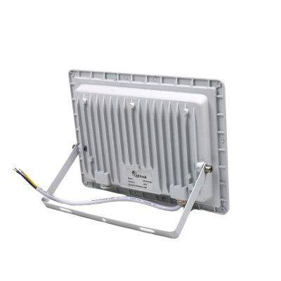 Прожектор Lightwell LW-FL-W-100 100 W