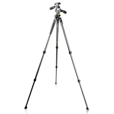 Штатив Vanguard Alta Pro 2+ 263AP (DAS301020)
