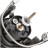 Котушка Shimano Nexave FI 2500S 3+1BB 5.01 (NEX2500SFI)