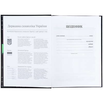 Щоденник шкільний Kite CyberRink, тверда обкладинка (K25-262-9)