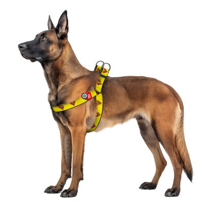 Шлея для собак WAUDOG Nylon з QR паспортом &quot;Супермен 2&quot; пластиковий фастекс XL (324-2014)