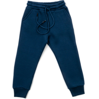 Спортивний костюм дитячий Cloise флісовий з худі (CL0215006-104-blue)