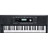 Синтезатор Kurzweil KP100 (283682)