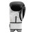 Боксерські рукавички Title Premier Leather Black/White L 14 oz (TSBG2 L BK/WH)