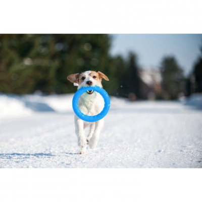 Іграшка для собак Collar PitchDog Кільце для апортування 17 см блакитне (62362)