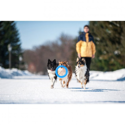 Іграшка для собак Collar PitchDog Кільце для апортування 17 см блакитне (62362)