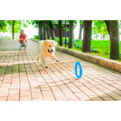 Іграшка для собак Collar PitchDog Кільце для апортування 17 см блакитне (62362)