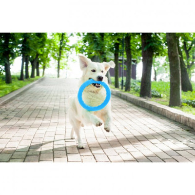 Іграшка для собак Collar PitchDog Кільце для апортування 17 см блакитне (62362)