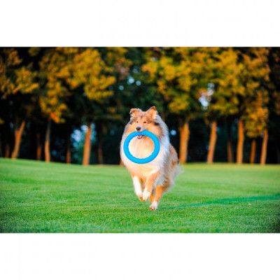 Іграшка для собак Collar PitchDog Кільце для апортування 17 см блакитне (62362)